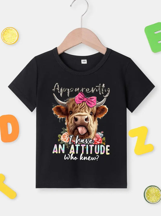 Apparently I have an Attitude